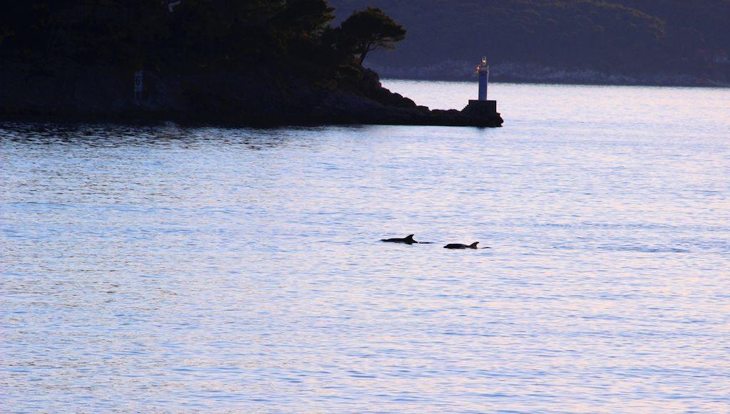 Sea Of Eden Daire Dubrovnik Dış mekan fotoğraf