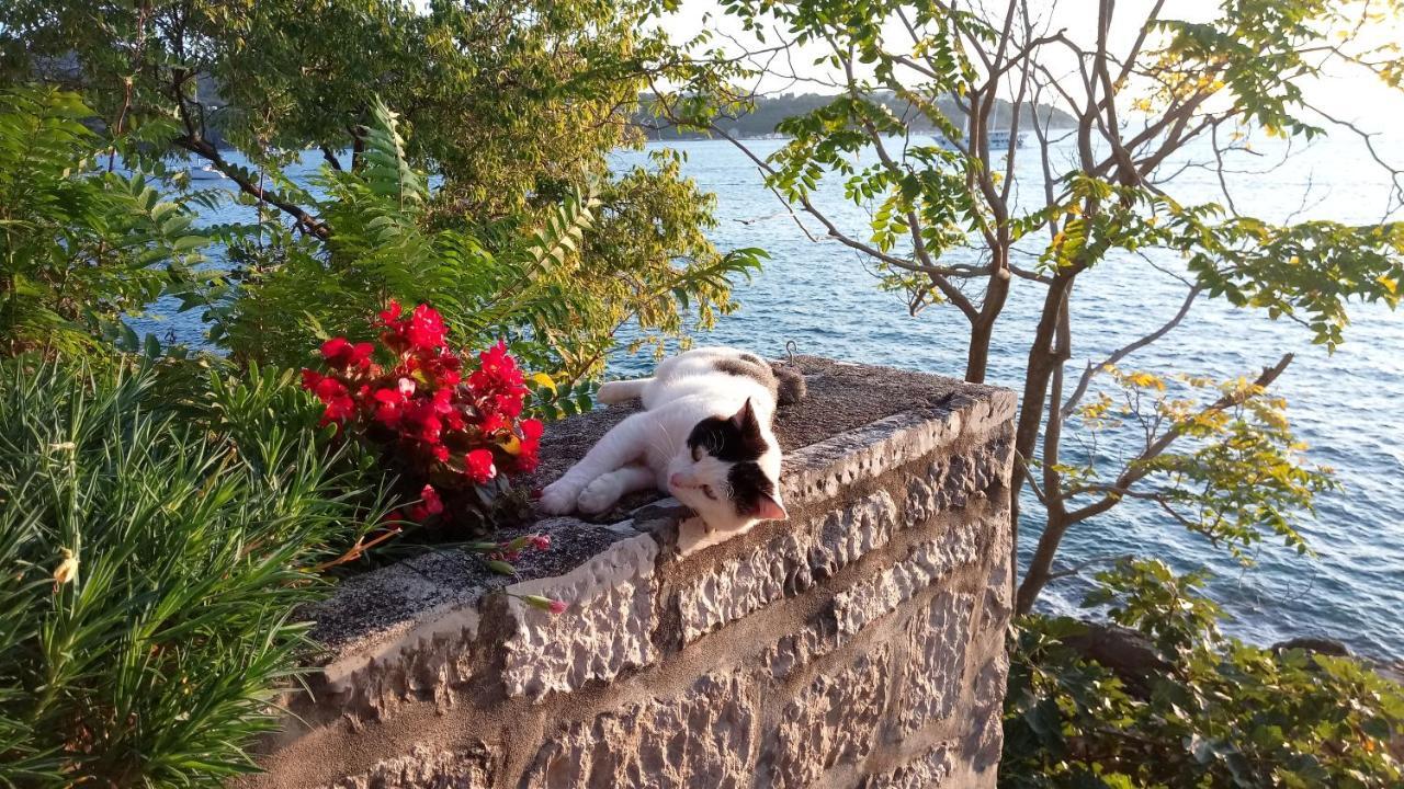 Sea Of Eden Daire Dubrovnik Dış mekan fotoğraf